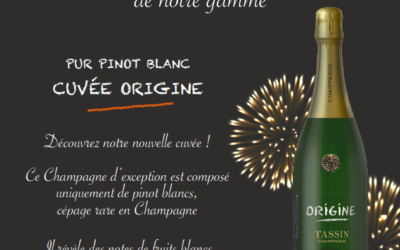 Notre Cuvée Pur Pinot Blanc, « Origine »