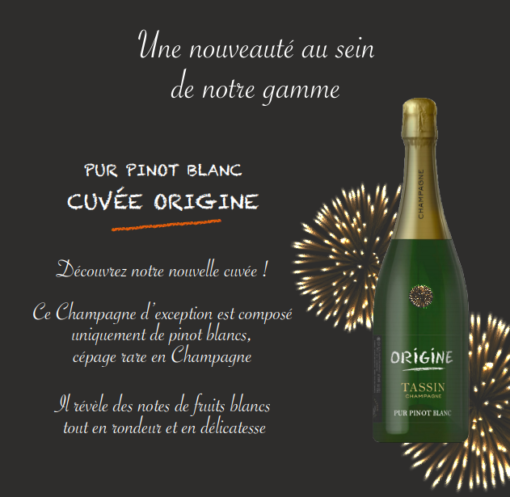 Cuvée Origine Millésime 2019